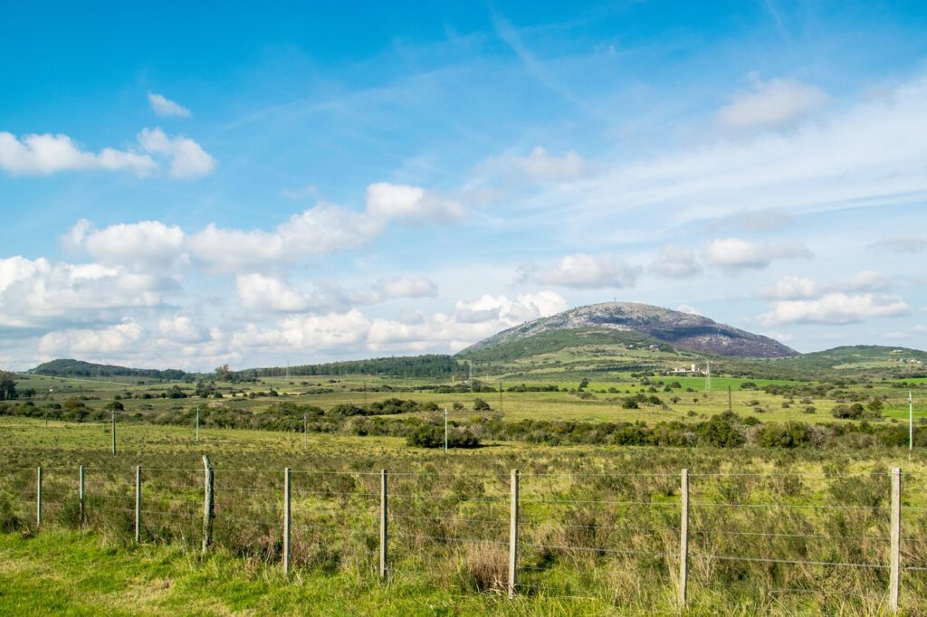 fields, hill, countryside, rural, farm, agriculture, farmland, clouds, uruguay, nature, landscape-6568935.jpg